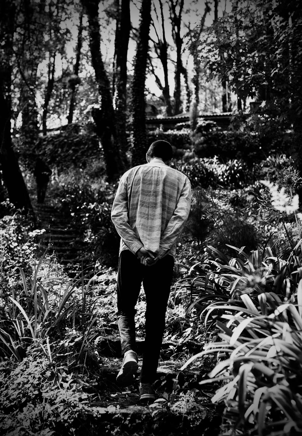 you-conquer-the-world-by-strolling