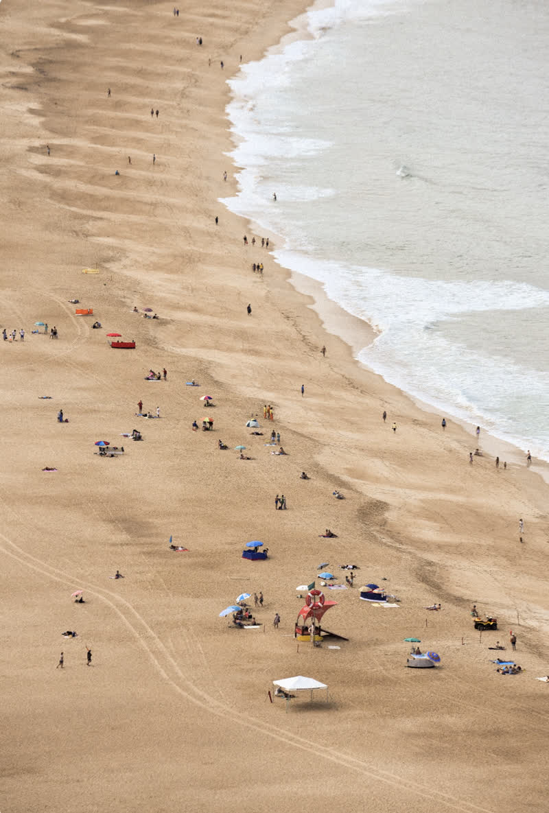 mas-alla-de-coexistir